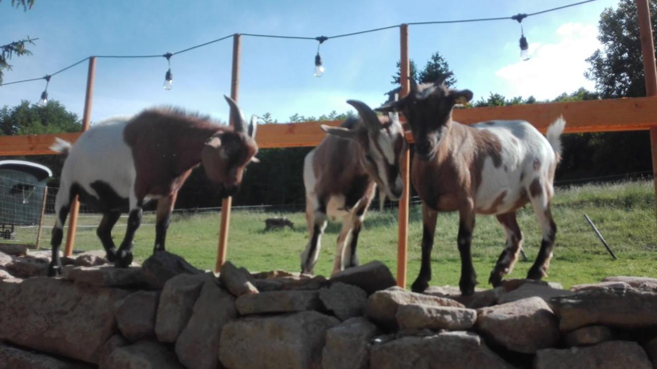 Zuruck Zur Natur - Urlaub Im Zirkuswagen, Sommeratelier Oder Schindelwagen Adenbach Екстериор снимка