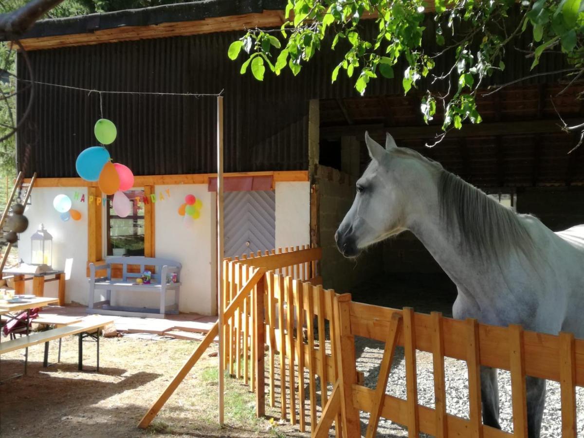 Zuruck Zur Natur - Urlaub Im Zirkuswagen, Sommeratelier Oder Schindelwagen Adenbach Екстериор снимка