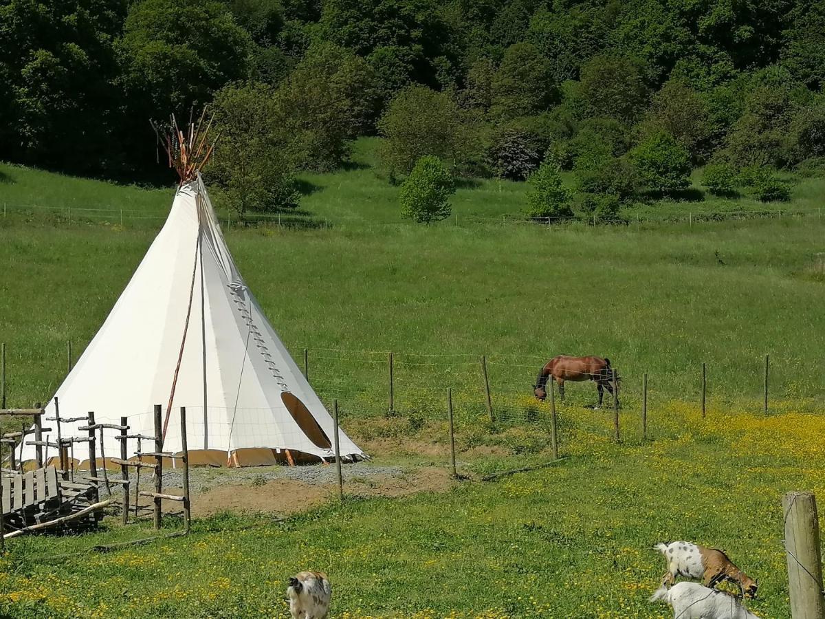 Zuruck Zur Natur - Urlaub Im Zirkuswagen, Sommeratelier Oder Schindelwagen Adenbach Екстериор снимка